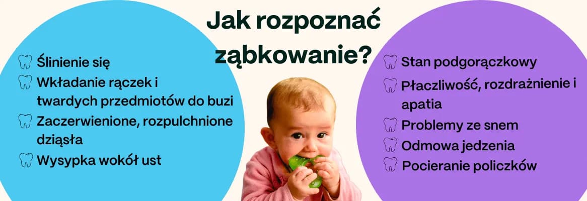 Ząbkowanie trójki: objawy, wiek i jak ulżyć dziecku?